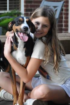Hudson the Most Gentle Boy -  Labrador Retriever Dog for Adoption in Baytown, Texas - Hudson The Most Gentle Boy | PetCurious