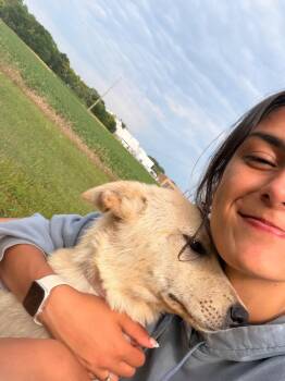 Mim -  Shepherd and Mixed Breed Dog for Adoption in Saint James, Minnesota - Mim | PetCurious