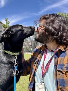 Mixed Breed Dogs Available for Adoption in Wichita, Kansas - Goofie | PetCurious