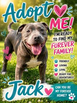 Jack -  Mixed Breed Dog for Adoption in Shelbyville, Tennessee - Jack | PetCurious