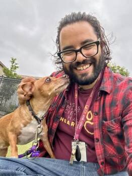 Mixed Breed Dogs Available for Adoption in Wichita, Kansas - Khloe | PetCurious