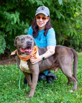 Boomer -  Mixed Breed Dog for Adoption in Chamblee, Georgia - Boomer | PetCurious