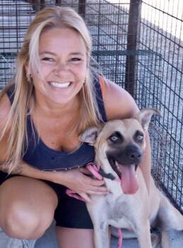 Carolina -  Mixed Breed Dog for Adoption in Franklin, Tennessee - Carolina | PetCurious