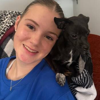 Muffin -  Chihuahua and Terrier Dog for Adoption in Helena, Alabama - Muffin | PetCurious