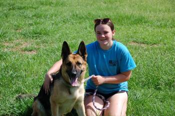 BELLAH -  German Shepherd Dog Dog for Adoption in Preston, Connecticut - BELLAH | PetCurious