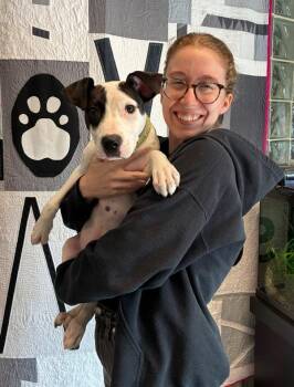 Randy -  Hound and Labrador Retriever Dog for Adoption in Richmond, Virginia - Randy | PetCurious