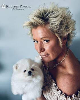 Grace -  Pomeranian Dog for Sale in Charlotte, North Carolina - Grace | PetCurious