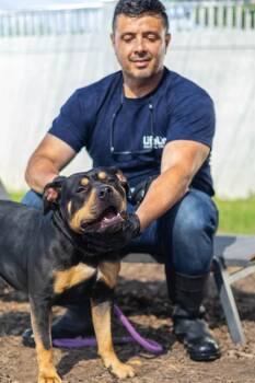 Olimpia Marchi -  Mixed Breed Dog for Adoption in Chamblee, Georgia - Olimpia Marchi | PetCurious