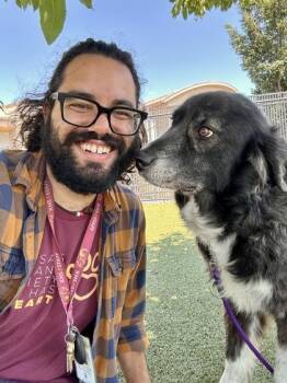 Mighty Maisie -  Mixed Breed Dog for Adoption in Wichita, Kansas - Mighty Maisie | PetCurious