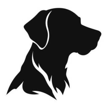 Rescue German Shepherd Dog Dogs for Adoption in Hinesville, Georgia - Barney | PetCurious