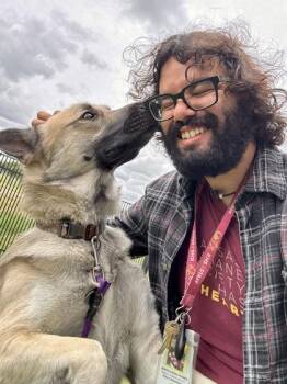 Mixed Breed Dogs Available for Adoption in Wichita, Kansas - Bear | PetCurious