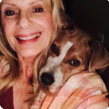 Terrier Dogs Available for Adoption in Columbia, Tennessee - Penny CP | PetCurious