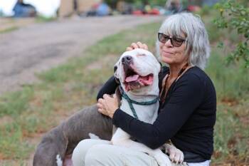 HOSS -  Pit Bull Terrier and Mixed Breed Dog for Adoption in Albuquerque, New Mexico - HOSS | PetCurious