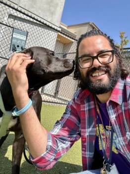 Sugar Mae -  Mixed Breed Dog for Adoption in Wichita, Kansas - Sugar Mae | PetCurious