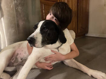 Rescue Hound and Mixed Breed Dogs for Adoption in Thomasville, Alabama - Moo Moo | PetCurious