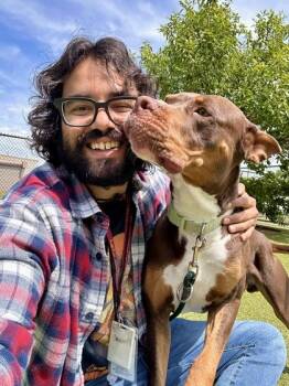 Mixed Breed Dogs Available for Adoption in Wichita, Kansas - Les | PetCurious