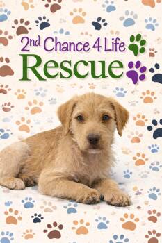 Labrador Retriever and Standard Poodle Dogs Available for Adoption in Elizabethtown, Pennsylvania - Spunky | PetCurious