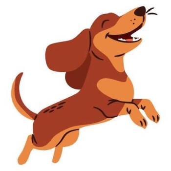 Bitsy -  Mixed Breed Dog for Adoption - Bitsy | PetCurious
