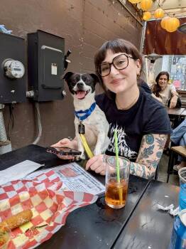 Boston Terrier and Chihuahua Dogs Available for Adoption in Fairfax, Virginia - Rooster  | PetCurious