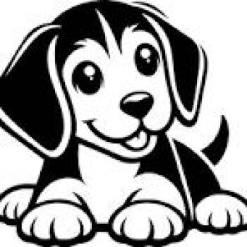 Mixed Breed Dogs Available for Adoption in Dickinson, Texas - Colby | PetCurious