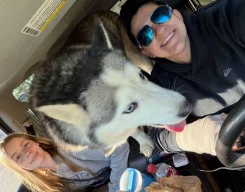 Husky Dogs Available for Adoption - Nadia | PetCurious