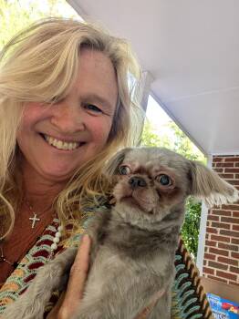 Taz -  Shih Tzu Dog for Adoption in Chesapeake Beach, Maryland - Taz | PetCurious