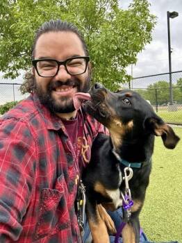 Pixels -  Mixed Breed Dog for Adoption in Wichita, Kansas - Pixels | PetCurious