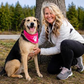 American Foxhound Dogs Available for Adoption in Cheboygan, Michigan - Lucy | PetCurious