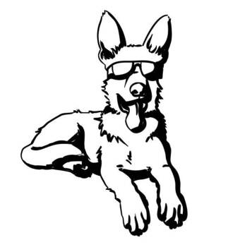 Rescue German Shepherd Dog Dogs for Adoption in Las Vegas, Nevada - AJ | PetCurious