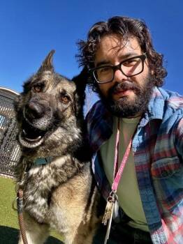 Mixed Breed Dogs Available for Adoption - Bruno | PetCurious