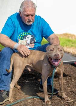 Grinning Moon -  Mixed Breed Dog for Adoption in Chamblee, Georgia - Grinning Moon | PetCurious