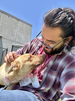Password -  Mixed Breed Dog for Adoption in Wichita, Kansas - Password | PetCurious