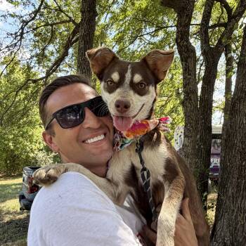 Miss Money Penny -  Chihuahua and Fox Terrier Dog for Adoption in Pilot Point, Texas - Miss Money Penny | PetCurious