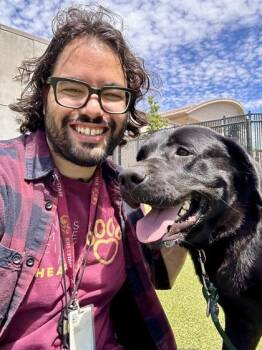 Hollerado -  Mixed Breed Dog for Adoption in Wichita, Kansas - Hollerado | PetCurious
