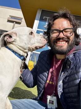 Mixed Breed Dogs Available for Adoption - Wanikya | PetCurious