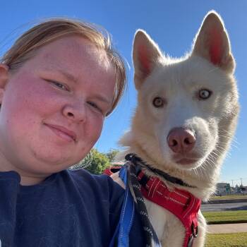 Rescue Husky Dogs for Adoption in Eufaula, Oklahoma - Nick | PetCurious