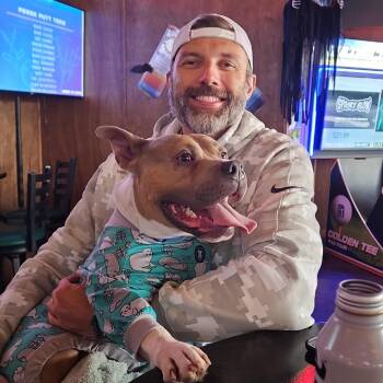 Richard (Milo) -  Pit Bull Terrier Dog for Adoption in Valparaiso, Indiana - Richard (Milo) | PetCurious
