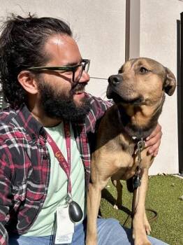 Max -  Mixed Breed Dog for Adoption in Wichita, Kansas - Max | PetCurious