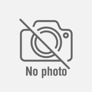 August -  Mountain Cur Dog for Adoption in Hinesville, Georgia - August | PetCurious
