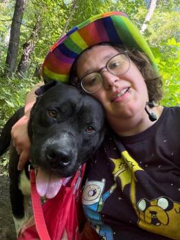 Gunter -  Mixed Breed Dog for Adoption in Cincinnati, Ohio - Gunter | PetCurious