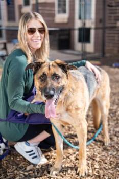 General -  Mixed Breed Dog for Adoption in Chamblee, Georgia - General | PetCurious