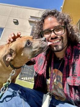 HoneyBear -  Mixed Breed Dog for Adoption in Wichita, Kansas - HoneyBear | PetCurious