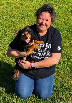 Marley -  Chihuahua Dog Available for Adoption in Cheboygan, Michigan - Marley | PetCurious