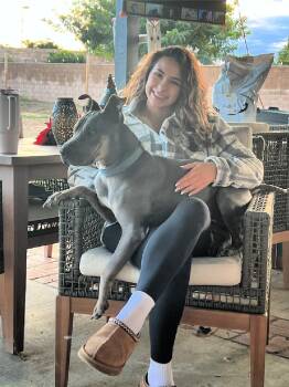 Rescue Shar Pei and Husky Dogs for Adoption in Redondo Beach, California - Chapo Is Very Friendly | PetCurious