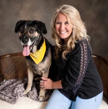 Ralo -  German Shepherd Dog Dog for Adoption in Cheboygan, Michigan - Ralo | PetCurious