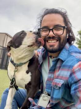 Mixed Breed Dogs Available for Adoption in Wichita, Kansas - Duke | PetCurious