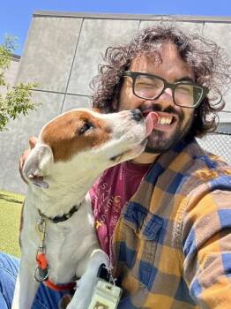 Wichita Art Museum -  Mixed Breed Dog for Adoption in Wichita, Kansas - Wichita Art Museum | PetCurious