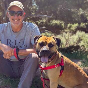 Bullmastiff and Boxer Dogs Available for Adoption in Glenwood Springs, Colorado - Toby | PetCurious