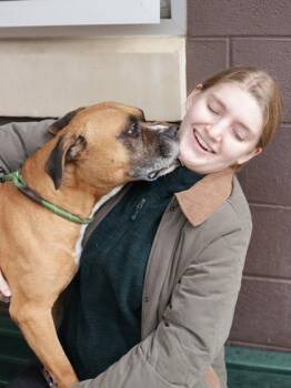 Mixed Breed Dogs Available for Adoption in Chamblee, Georgia - Timon | PetCurious