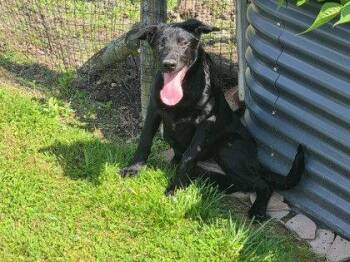 Bessie